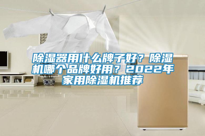 除濕器用什麽牌子好？小黄片软件免费下载哪個品牌好用？2022年家用小黄片软件免费下载推薦