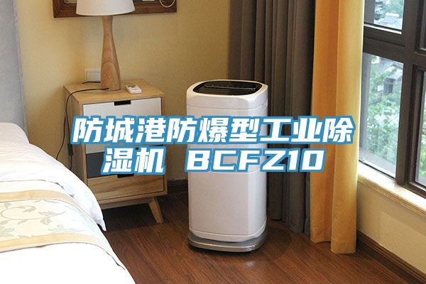防城港防爆型工業小黄片软件免费下载 BCFZ10