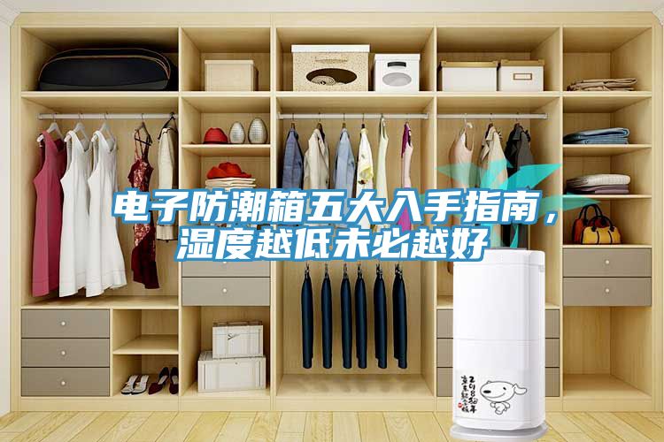 電子防潮箱五大入手指南，濕度越低未必越好