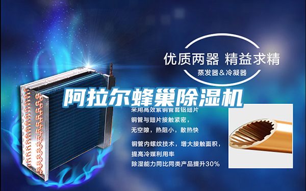 阿拉爾蜂巢小黄片软件免费下载