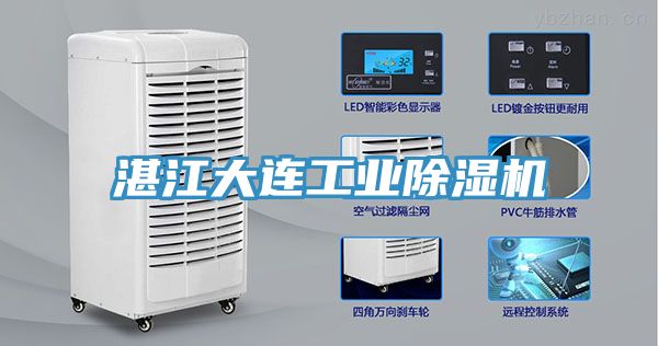 湛江大連工業小黄片软件免费下载