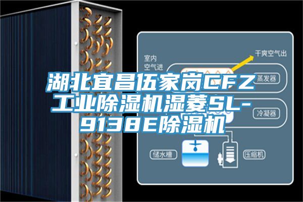 湖北宜昌伍家崗CFZ工業小黄片软件免费下载濕菱SL-9138E小黄片软件免费下载