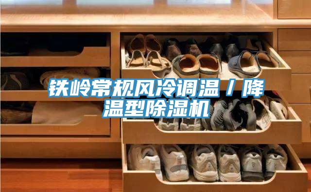 鐵嶺常規風冷調溫／降溫型小黄片软件免费下载