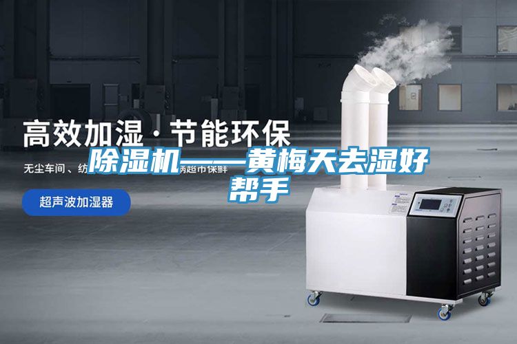 小黄片软件免费下载——黃梅天去濕好幫手