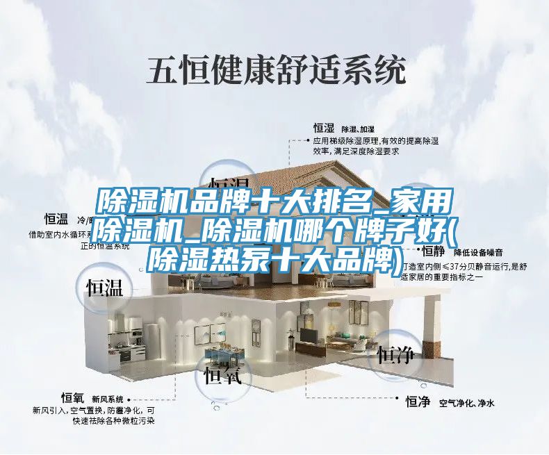 小黄片软件免费下载品牌十大排名_家用小黄片软件免费下载_小黄片软件免费下载哪個牌子好(除濕熱泵十大品牌)