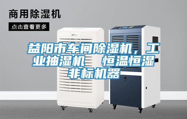 益陽市車間小黄片软件免费下载，工業抽濕機  恒溫恒濕非標機器