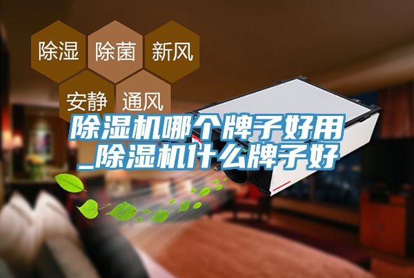 小黄片软件免费下载哪個牌子好用_小黄片软件免费下载什麽牌子好