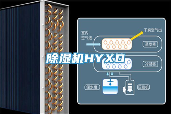 小黄片软件免费下载HYXD