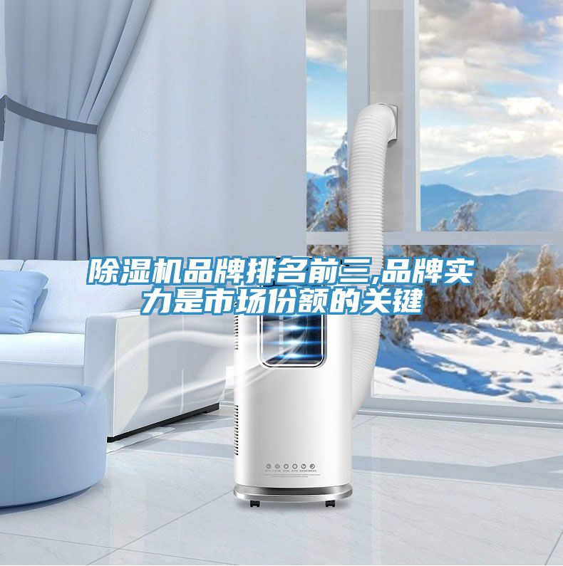小黄片软件免费下载品牌排名前三,品牌實力是市場份額的關鍵