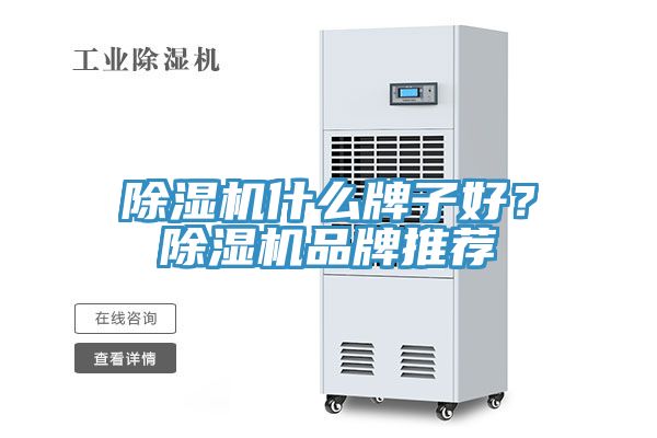 小黄片软件免费下载什麽牌子好？小黄片软件免费下载品牌推薦