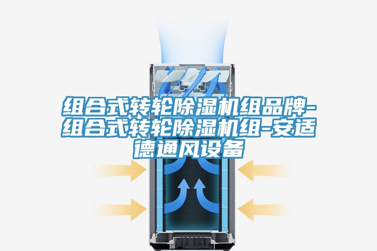 組合式轉輪小黄片软件免费下载組品牌-組合式轉輪小黄片软件免费下载組-安適德通風設備