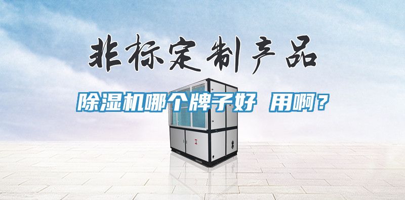 小黄片软件免费下载哪個牌子好 用啊？