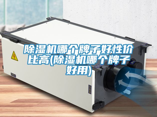 小黄片软件免费下载哪個牌子好性價比高(小黄片软件免费下载哪個牌子好用)