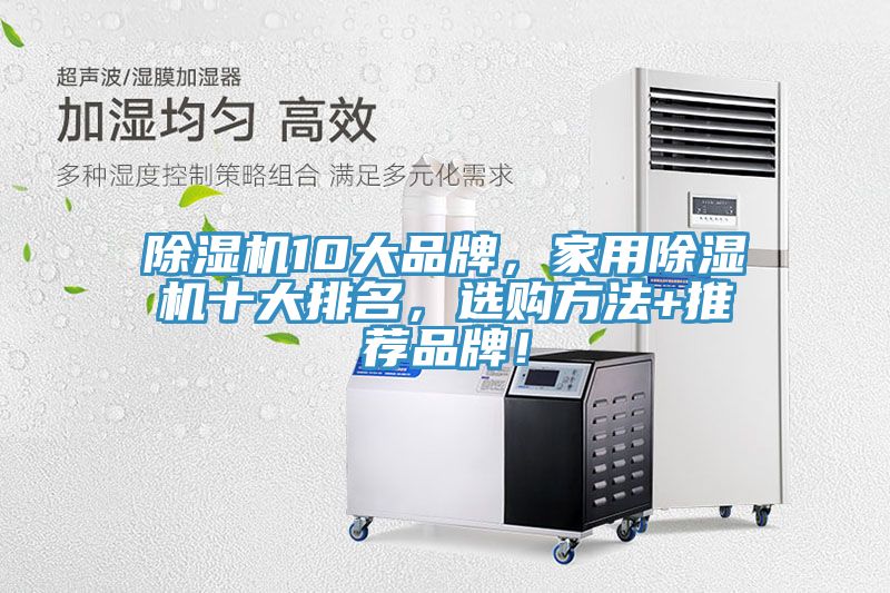 小黄片软件免费下载10大品牌，家用小黄片软件免费下载十大排名，選購方法+推薦品牌！