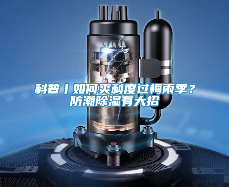 科普丨如何爽利度過梅雨季？防潮除濕有大招