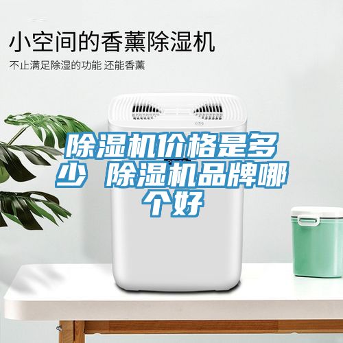 小黄片软件免费下载價格是多少 小黄片软件免费下载品牌哪個好