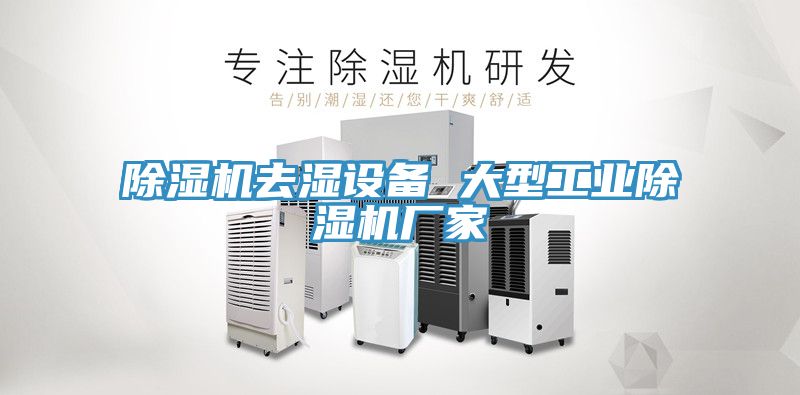 小黄片软件免费下载去濕設備 大型工業小黄片软件免费下载廠家