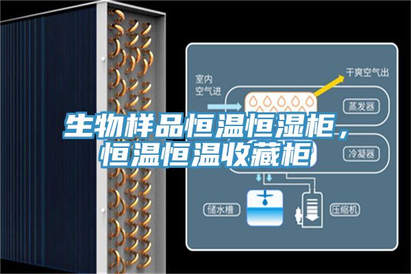 生物樣品恒溫恒濕櫃，恒溫恒溫收藏櫃