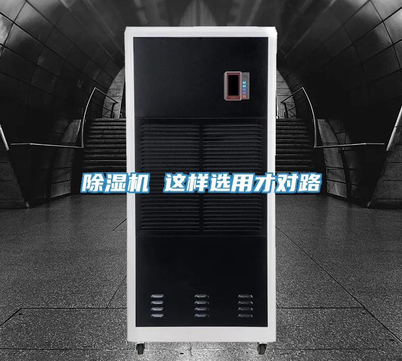 小黄片软件免费下载 這樣選用才對路