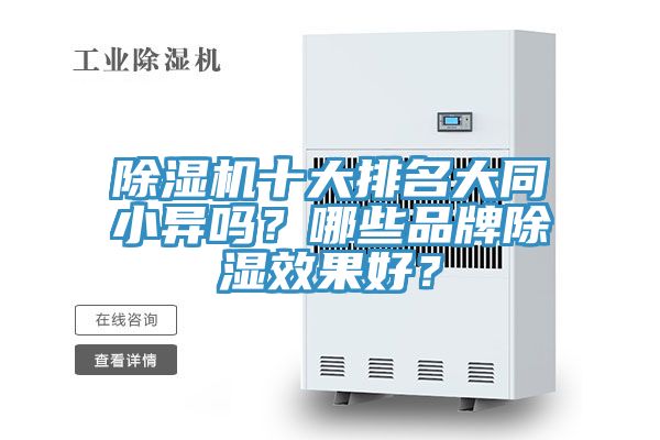 小黄片软件免费下载十大排名大同小異嗎？哪些品牌除濕效果好？