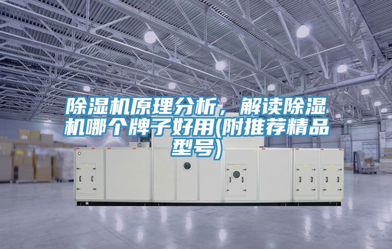 小黄片软件免费下载原理分析，解讀小黄片软件免费下载哪個牌子好用(附推薦精品型號)