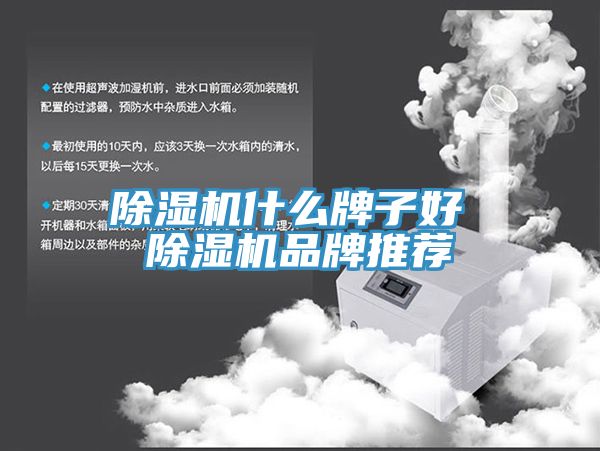 小黄片软件免费下载什麽牌子好 小黄片软件免费下载品牌推薦