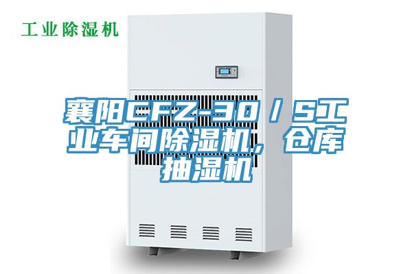 襄陽CFZ-30／S工業車間小黄片软件免费下载，倉庫抽濕機