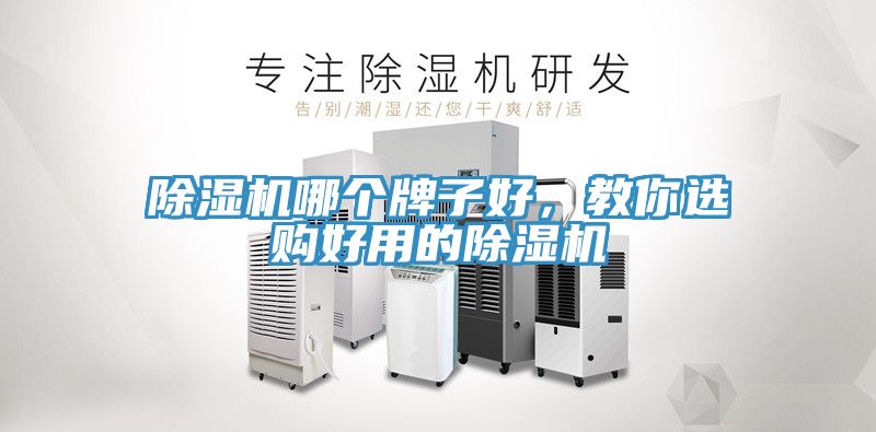 小黄片软件免费下载哪個牌子好，教你選購好用的小黄片软件免费下载