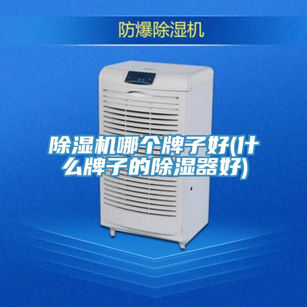 小黄片软件免费下载哪個牌子好(什麽牌子的除濕器好)