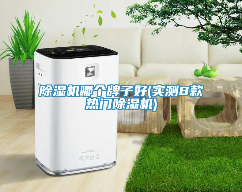 小黄片软件免费下载哪個牌子好(實測8款熱門小黄片软件免费下载)