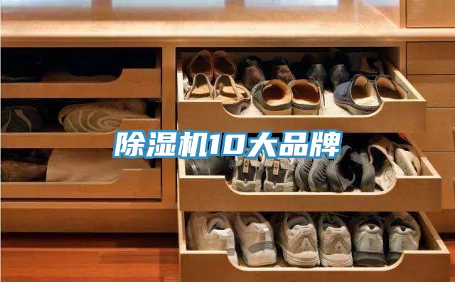 小黄片软件免费下载10大品牌