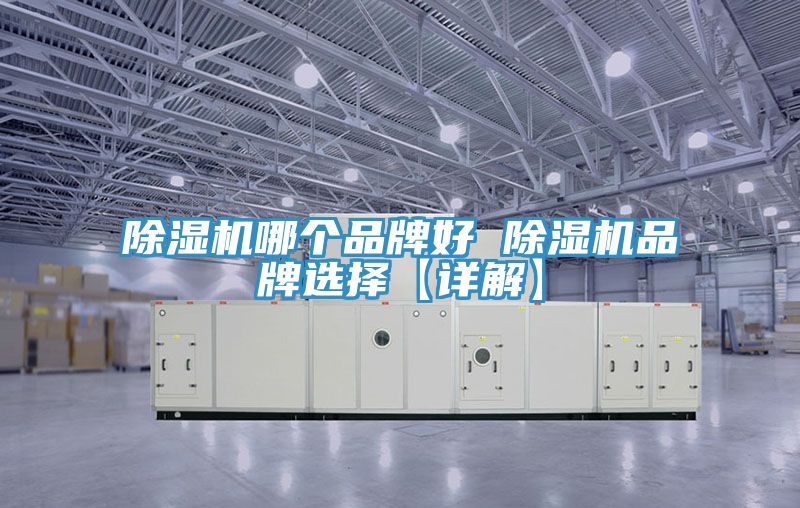 小黄片软件免费下载哪個品牌好 小黄片软件免费下载品牌選擇【詳解】