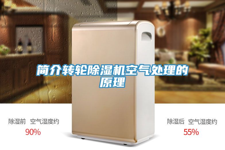 簡介轉輪小黄片软件免费下载空氣處理的原理