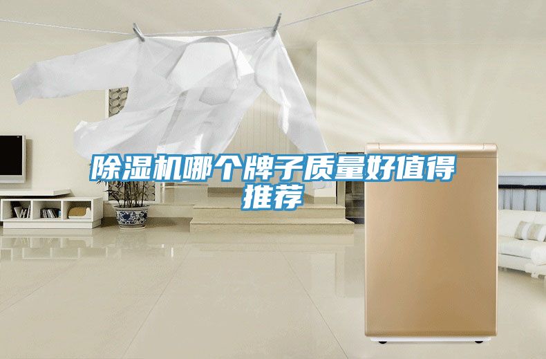 小黄片软件免费下载哪個牌子質量好值得推薦