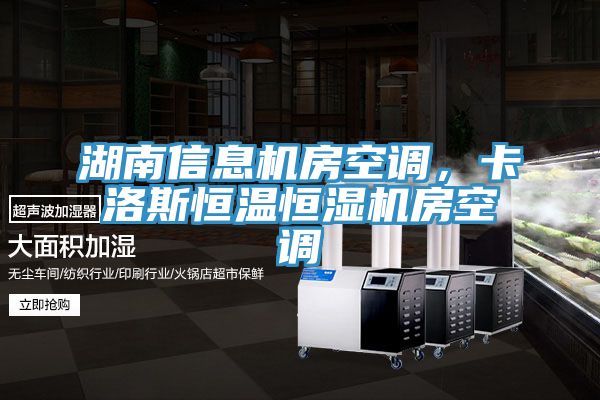 湖南信息機房空調，卡洛斯恒溫恒濕機房空調
