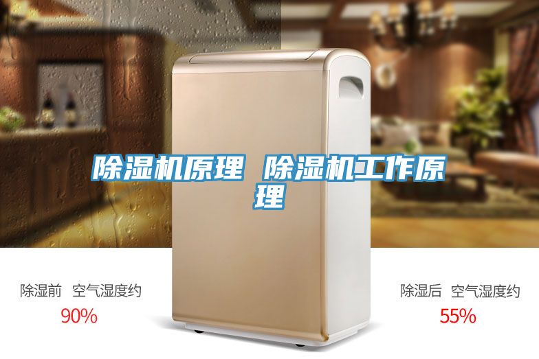 小黄片软件免费下载原理 小黄片软件免费下载工作原理