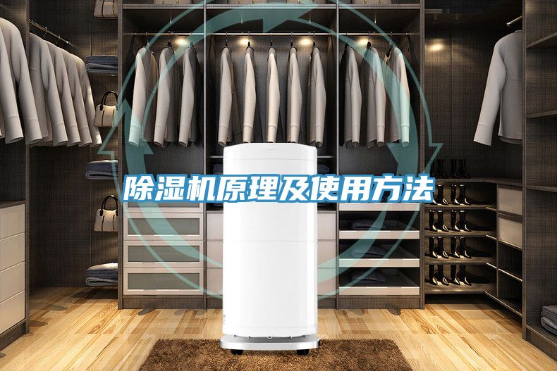 小黄片软件免费下载原理及使用方法