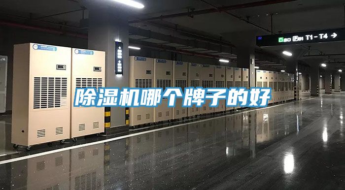 小黄片软件免费下载哪個牌子的好