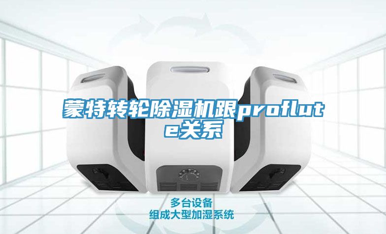 蒙特轉輪小黄片软件免费下载跟proflute關係