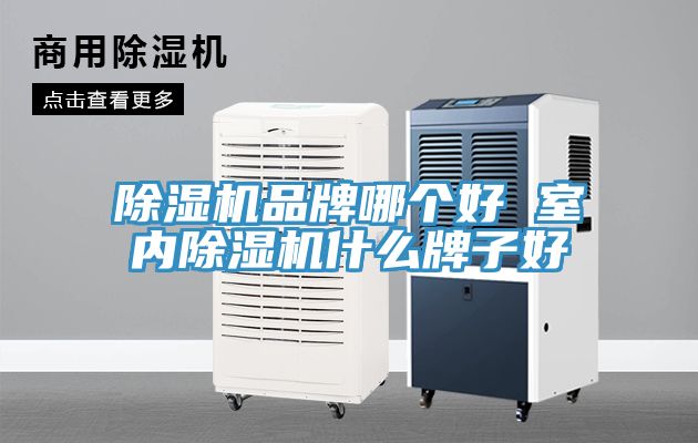 小黄片软件免费下载品牌哪個好 室內小黄片软件免费下载什麽牌子好