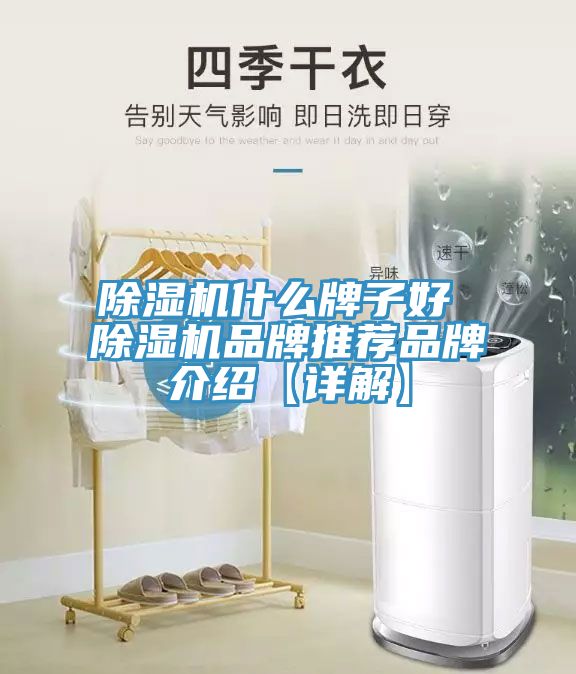小黄片软件免费下载什麽牌子好 小黄片软件免费下载品牌推薦品牌介紹【詳解】