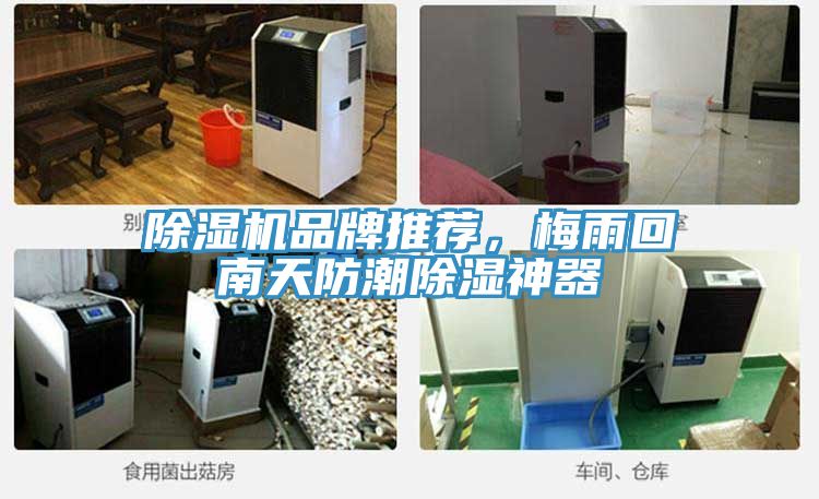 小黄片软件免费下载品牌推薦，梅雨回南天防潮除濕神器