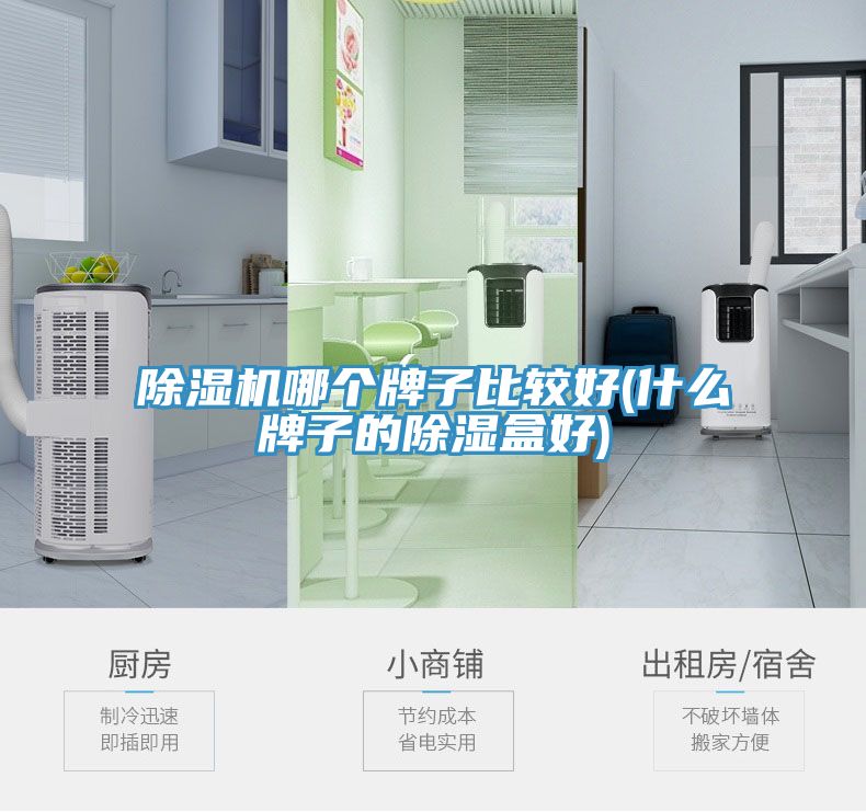 小黄片软件免费下载哪個牌子比較好(什麽牌子的除濕盒好)