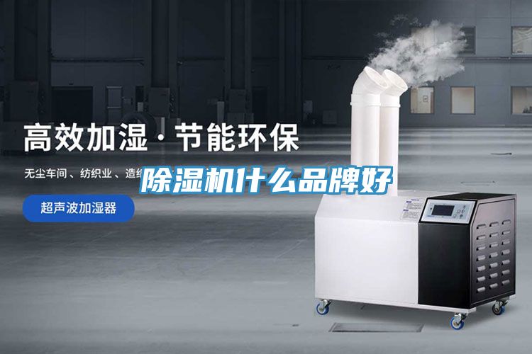 小黄片软件免费下载什麽品牌好