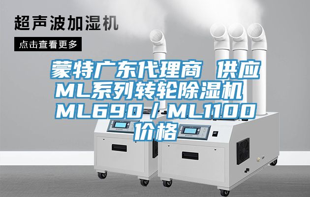 蒙特廣東代理商 供應ML係列轉輪小黄片软件免费下载 ML690／ML1100價格