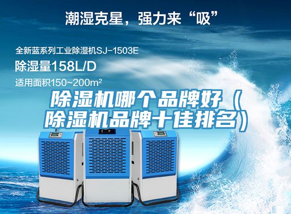 小黄片软件免费下载哪個品牌好（小黄片软件免费下载品牌十佳排名）