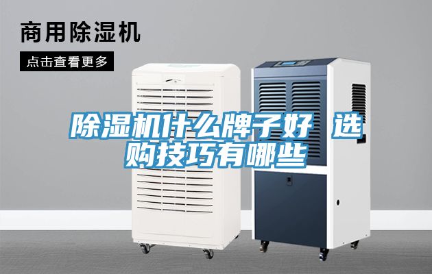 小黄片软件免费下载什麽牌子好 選購技巧有哪些