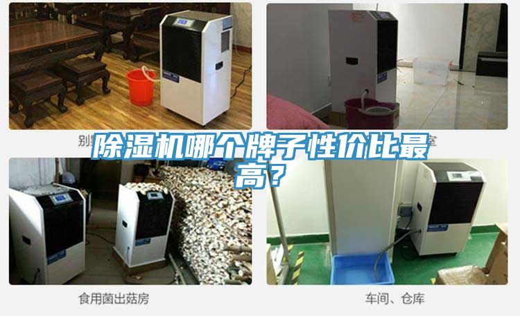 小黄片软件免费下载哪個牌子性價比最高？