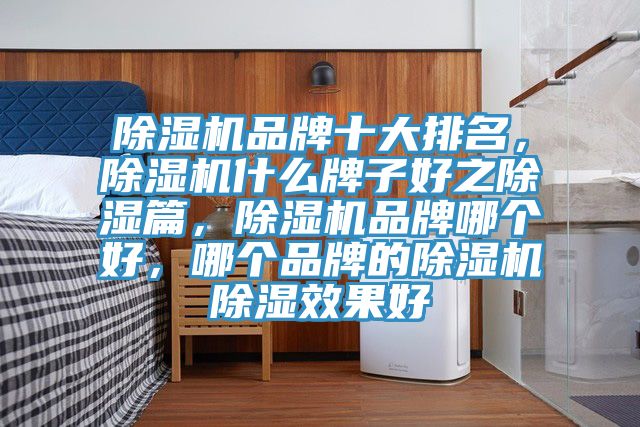 小黄片软件免费下载品牌十大排名，小黄片软件免费下载什麽牌子好之除濕篇，小黄片软件免费下载品牌哪個好，哪個品牌的小黄片软件免费下载除濕效果好