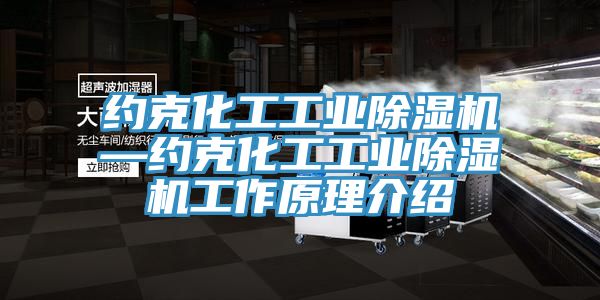 約克化工工業小黄片软件免费下载—約克化工工業小黄片软件免费下载工作原理介紹